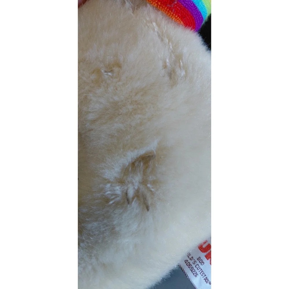 vintage Collectible GUND Boo The World's Cutest Dog Workout Pomeranian Plush Toy